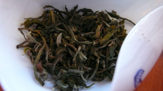 SPRING_DARJEELING_PcT.jpg