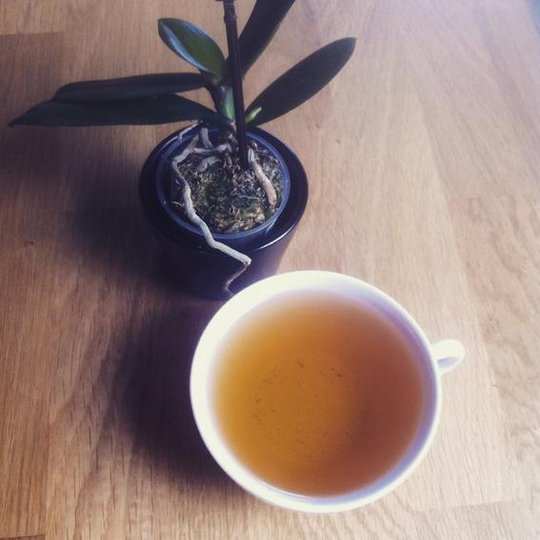 volutes_tea-hojicha_atago_lupicia.JPG