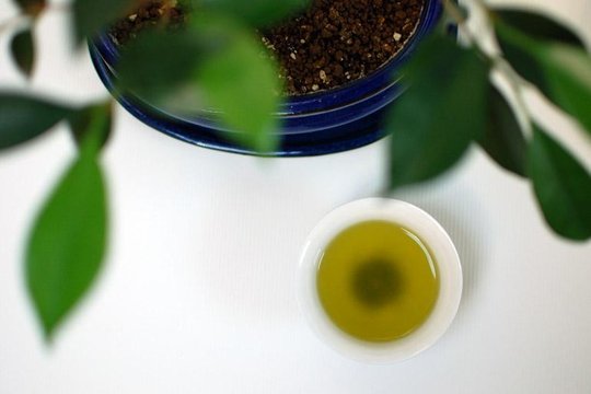 lautrethe-sencha_oku_midori-post1.jpg