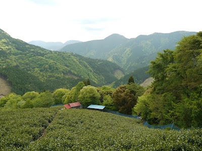 P1080507(1).JPG