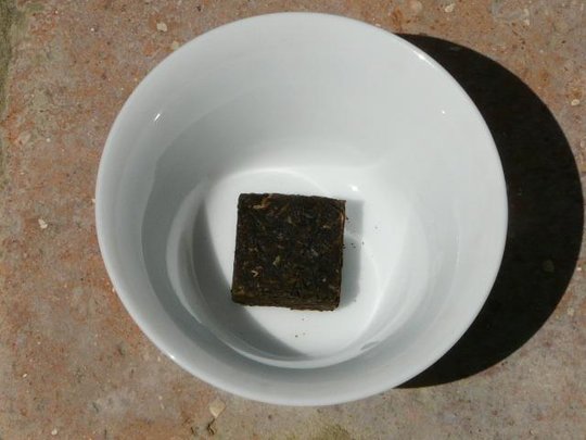 P1080447.JPG