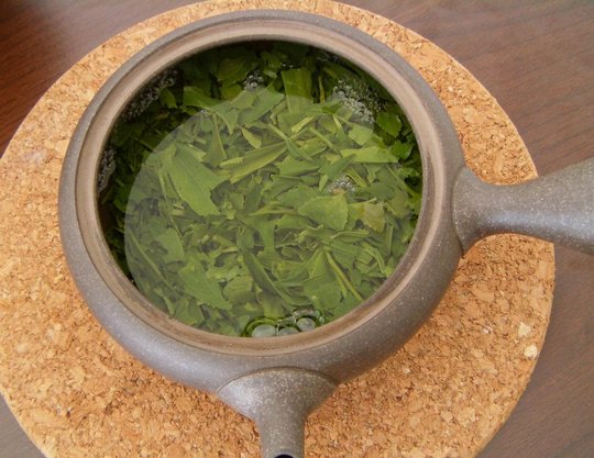 Sencha_Ashikubo_Oku-midori_2015_TDJ_kyusu1.JPG