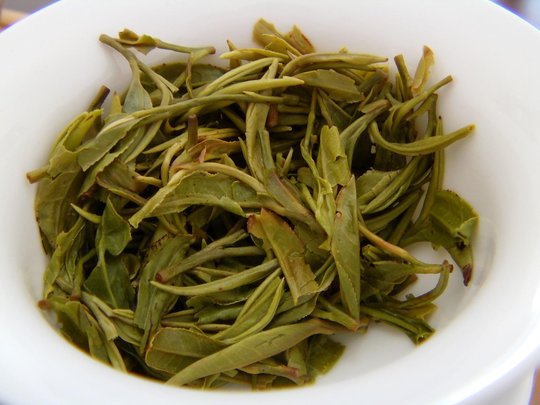 Lu_Shan_Yun_Wu_2015_Charlotte_leaves.JPG