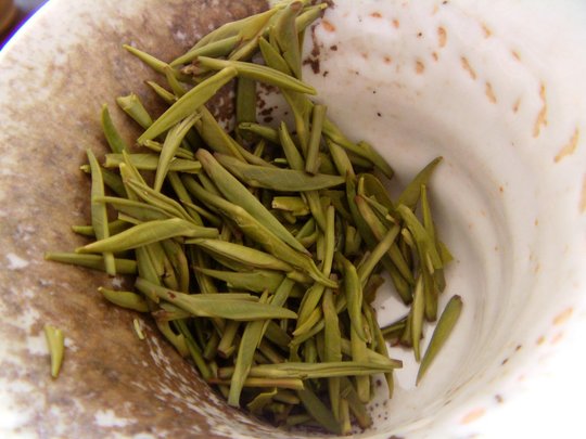 Kai_Hua_Long_Ding_2015_Charlotte_leaves2.JPG