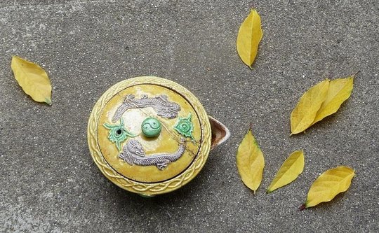 P1090581xxc2.jpg