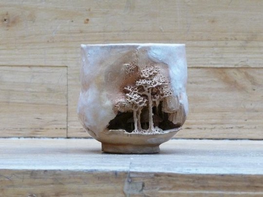 P1090951x1.jpg
