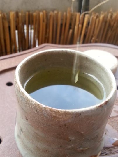 20160306_093529.jpg