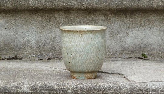 P1100228w2.jpg