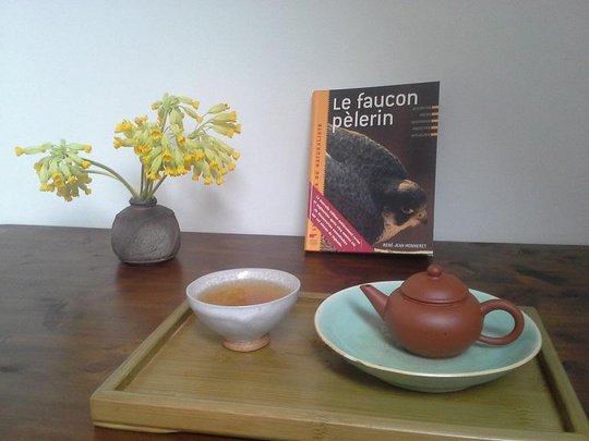 20160406_164459.jpg
