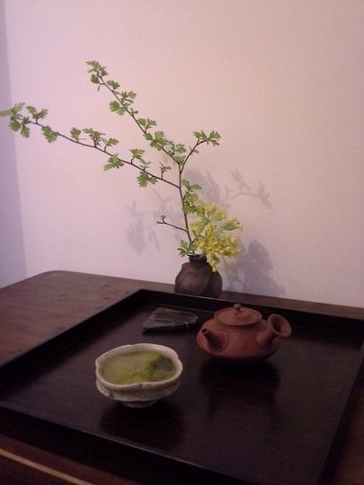 20160412_071736.jpg