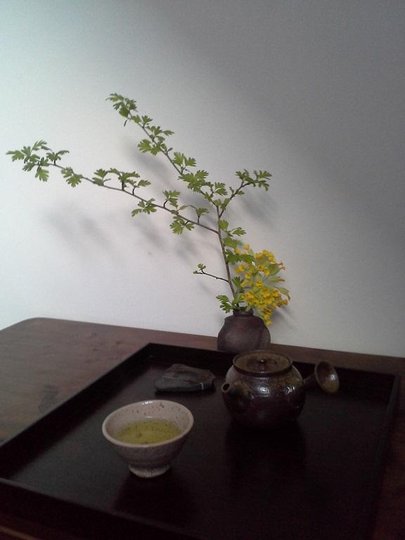 20160415_074558.jpg