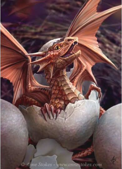 Image 2.png