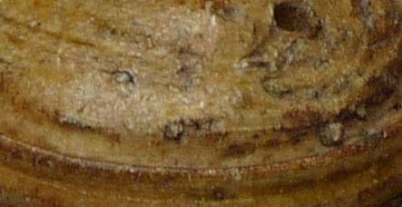 P1110612 b1.jpg