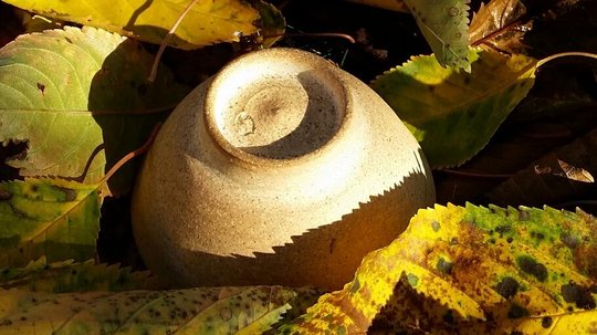 2016-10-30 10.42.21.jpg
