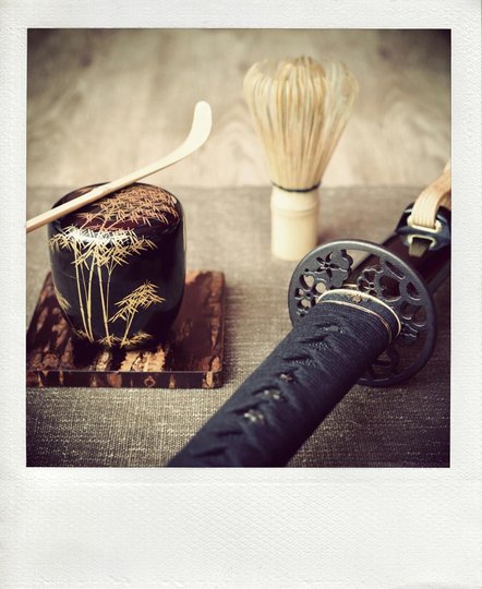 IMG_7334pola1.jpg