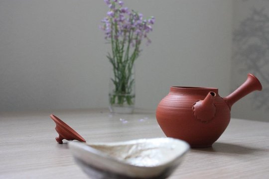 Sencha.JPG