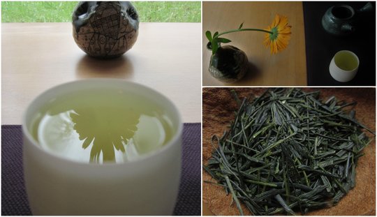 Sencha de Tamakawa, cultivar Kôshun TdJ.jpg