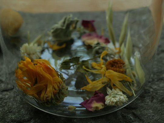 Of Herbs and Flowers.jpg