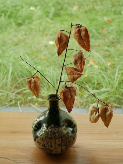 Vase automne.jpg