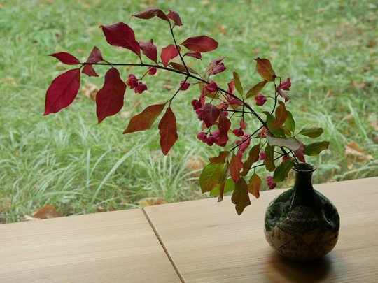 Vase d'automne.jpg