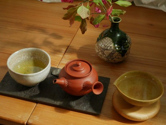 Sencha de Kirishima, cultivar Asatsuyu 2019 (TdJ)2.jpg