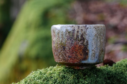_DSC9427_DxO.jpg