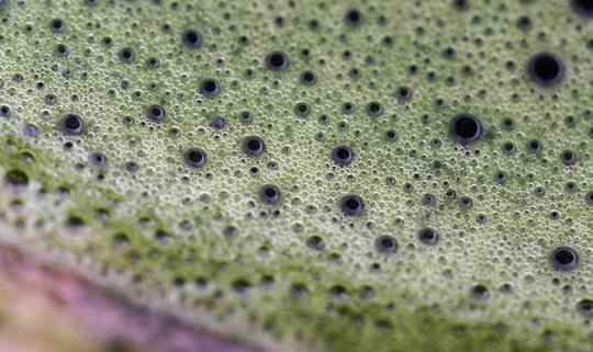 _DSC9979_DxO.jpg