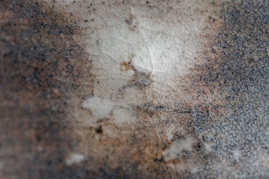 _DSC1357_DxO.jpg