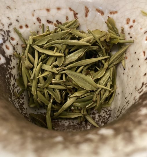 HuangShanMaoFeng_RMJ.JPG
