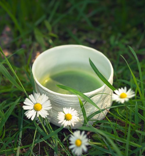 _Matcha_UJI_ELISE_White.jpg