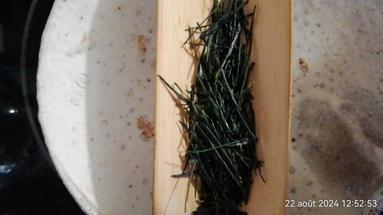 IMG_20240822_125253.jpg