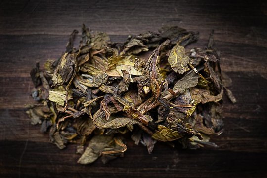 _Huang_Pian_2024_Kancha-2.jpg