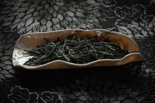 _Taisyou-2.jpg