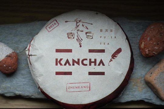 _2024_Zhenkang_Kancha.jpg