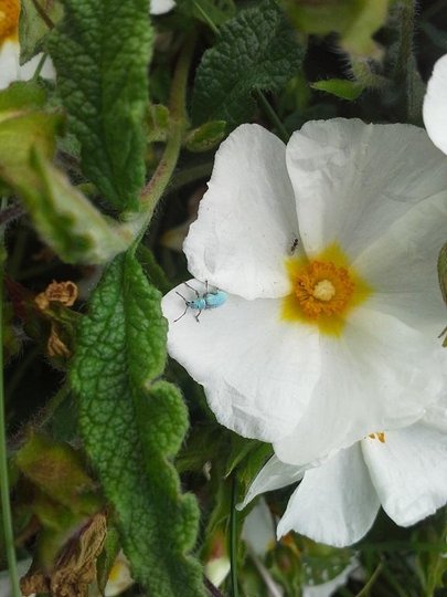 20140531_154453.jpg