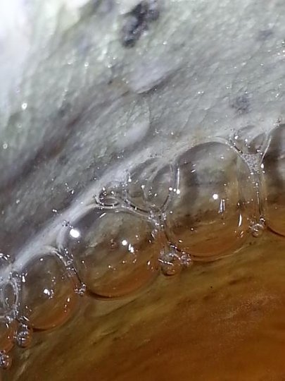 20140603_220225.jpg