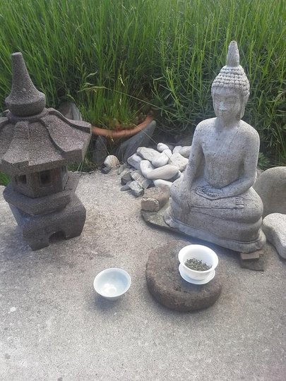 20140607_155924.jpg
