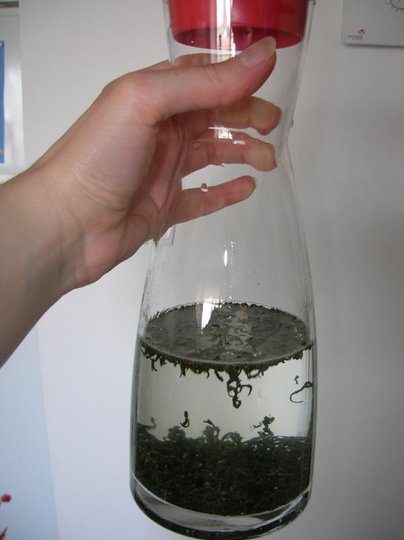 DSCN2895lr.jpg