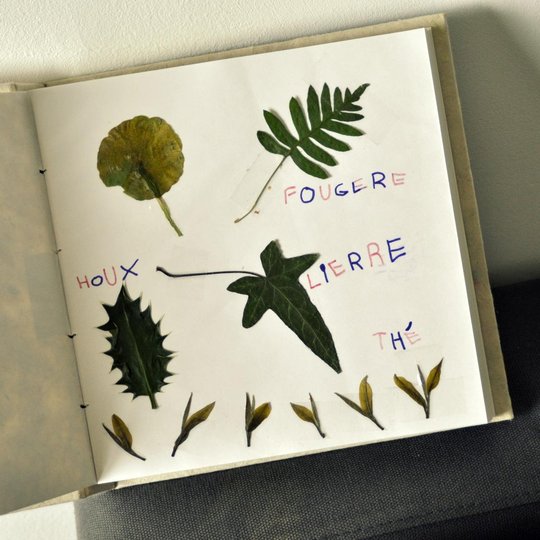 herbier.jpg