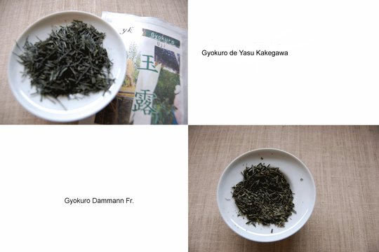 gyokuro copier.jpg