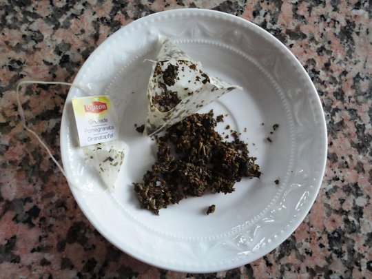 lipton 1.JPG