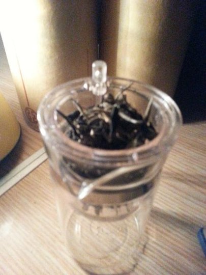 20140815_231558.jpg