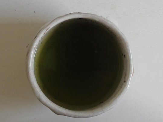 DSC02461.JPG