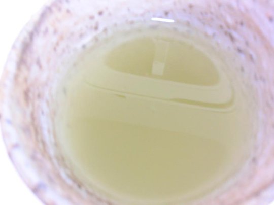 DSCN3042lr.jpg