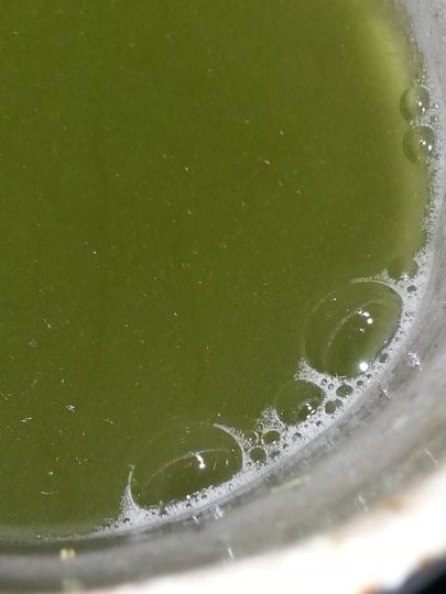 20140906_002347.jpg