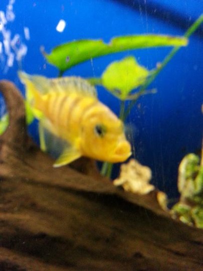 20140919_192425.jpg