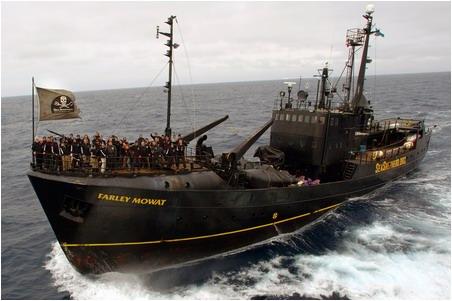 sea-shepherd-ship.jpg