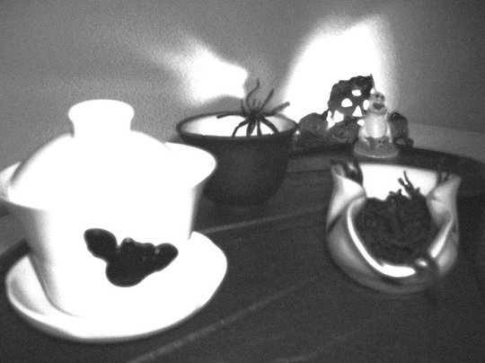 DSCN3124a.jpg