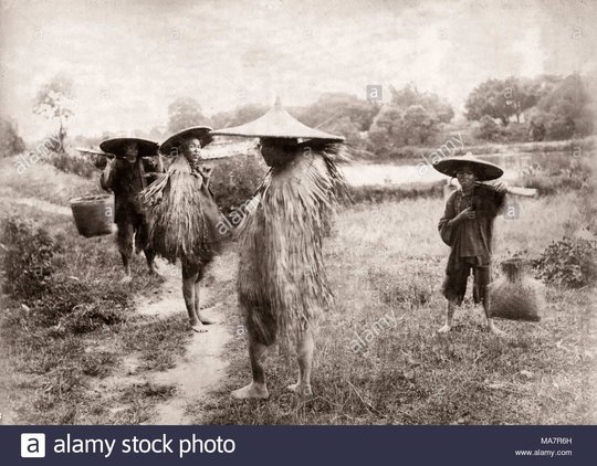 19e-siecle-vintage-photographie-chine-paysans-chinois-les-travailleurs-agricoles-avec-des-chapeaux-et-des-manteaux-d-herbe-ma7r6h.jpg
