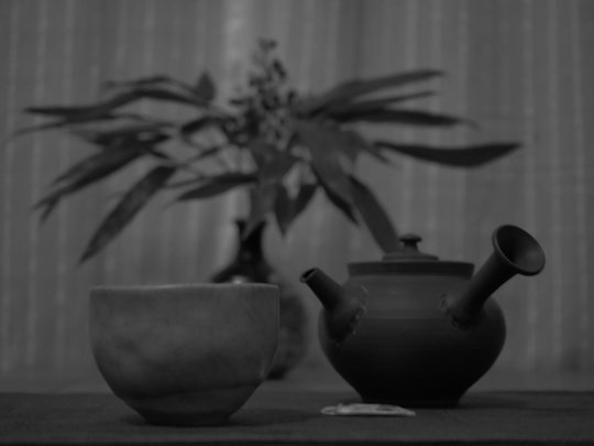 Fuji-kaori-2019.jpg